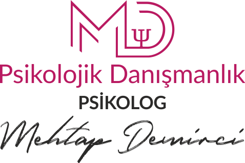 PORTEUS LABİRENT TESTİ  